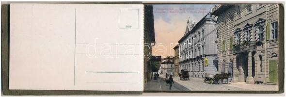 Nagyszeben, Hermannstadt, Sibiu; - képeslapfüzet 15 db képeslappal; Sachsenheim, Disznódi, Riskás és...