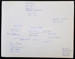 1971 a Semmelweis Egészségügyi Szakközépiskola IV. c. osztálya, tablókép, hátulján az osztálytársak ...