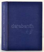 P. Brestyánszky Ilona: A Pest-budai ötvösség. Bp., 1977, Műszaki Könyvkiadó. Kiadói egészvászon köté...