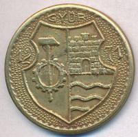 1982-1983. "Rába ETO NB1 - Bajnok csapat / Győr 1271" sárgaréz emlékérem (26mm) T:2