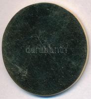 DN "FEH - Arms-Control Agency Republic of Hungary" festett Br érem T:2 hátoldalon karc