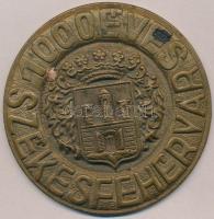 1972. "1000 éves Székesfehérvár" Br plakett (83mm) T:2
