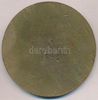 1972. "1000 éves Székesfehérvár" Br plakett (83mm) T:2