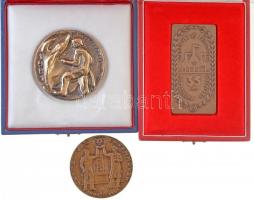 1967. "Csepel Vas és Fémművek 1892-1967" Br plakett (61mm) + 1981. "Csepel Vas- és Fémművek" Br plakett (67mm) eredeti tokban + ~1980. "Csepel Vas- és Fémművek - 35 éves törzsgárda tagjának" Br plakett eredeti dísztokban (43x85,5mm) T:2