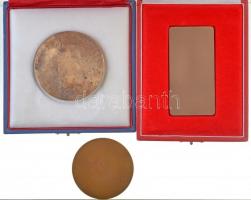 1967. "Csepel Vas és Fémművek 1892-1967" Br plakett (61mm) + 1981. "Csepel Vas- és Fé...