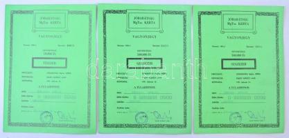 1991. "Jóbarátság Mezőgazdasági Termelőszövetkezet - Kerta" vagyonjegy 100.000Ft értékben (3x) közte sorszámkövető pár T:II-