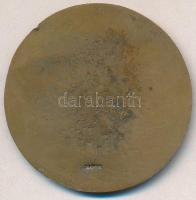 "II. Rákóczi Ferenc" Br emlékérem modern másolata "COPIE" beütéssel (55mm) T:2-,...