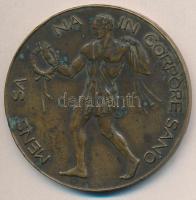 1931. "Mens sana in corpore sano / Csehszlovák-Magyar Testnevelő Szövetség" Br emlékérem (60mm) T:2 kis patina, kis ph.