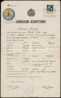 1915 Bp., A budapesti VI. ker. m. kir. állami főgimnáziuma által kiállított gimnáziumi bizonyítvány okmánybélyeggel