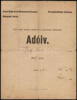 1919 Erzsébetfalva (ma: Pesterzsébet), kitöltött adóív