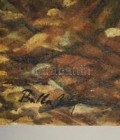 Balla jelzéssel: Erdőrészlet. Olaj, vászon, 60×80 cm