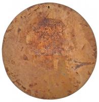 Tőrös Gábor (1934-) DN "Szabó Dezső 1879-1945" modern öntött Br plakett (129mm) T:2