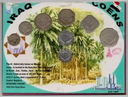 Irak 1969-1982. 5f-1D forgalmi sor sérült, karton díszcsomagolásban T:1-,2
Iraq 1969-1982. 5 Fils -...