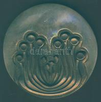 "75 éves a fővárosi gyermek- és ifjúságvédelem" modern Br nagyalakú emlékplakett T:1 Díszd...