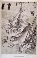 Diezel-Dr. Mika Károly: Az apróvad vadászata. Bp., 1899, Athenaeum. Újrakötött egészvászon kötés, kö...