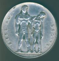 1947. "S.A.S." Ag emlékérem 22,56g. Szign:Loósz József T:2 ph