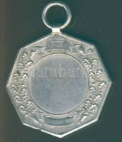 1893. "Magyar Úszó Egyesület" Ag medál 13,83g T:2/3