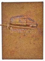 1969. "Szalámi - Pick Szeged 1869-1969" zománcozott fém jelvény (17x23mm) T:2