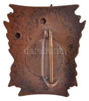 ~1960-1970. "DCM építéséért - KISZ 1919-1957" részben zománcozott Br jelvény (20x22mm) T:2