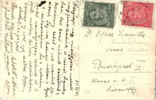 1934 Bodóhegy, Bodonci; ekézés úri felügyelettel / plowing, photo