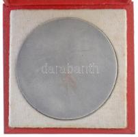 Renner Kálmán (1927-1994) DN "Győr Város Emlékérem" ezüstözött Br plakett, tokkal (80mm) T...