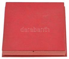 Renner Kálmán (1927-1994) DN "Győr Város Emlékérem" ezüstözött Br plakett, tokkal (80mm) T...