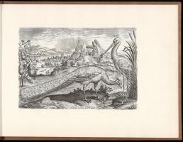 Adiano Collardo: Avium vivae icones. Brüsszel, 1967, Culture et Civilisation. Kiadói műbőr-kötés, fr...
