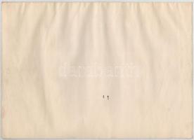 Budapest 1926. "Nemzeti Hitelintézet Részvénytársaság" részvénye 10P-ről, szárazpecséttel ...