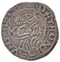 1490-1494. Denár Ag "II. Ulászló" (0,59g) T:2 Huszár: 803., Unger I.: 638.b