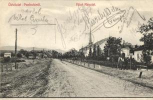 Pankota, Pancota; Fő út vasúti átkelőhellyel. Menczer A. Adolf kiadása / main street with railway crossing