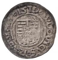 1519K-G Denár Ag "II. Lajos" (0,57g) T:2-
Huszár: 841., Unger I.: 673.m