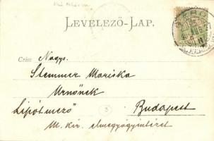 1904 Sárd, Fő tér, templom, községháza / street view, church, town hall, photo