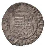 1582K-B Denár Ag "Rudolf" (0,59g) T:2,2- Huszár: 1059.,Unger II.: 811.a