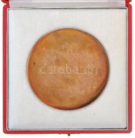 1979. "Pajzs 1979" festett fegyverbaráti Br plakett dísztokban (87mm) T:1