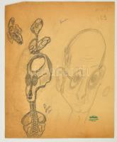 Hornyánszky hagyatéki pecsét jelzéssel:Fej tanulmányok, ceruza, papír, 30×25 cm