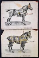 5 db különféle lovas nyomatkép, különböző méretben, sérülésekkel