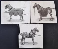 5 db különféle lovas nyomatkép, különböző méretben, sérülésekkel