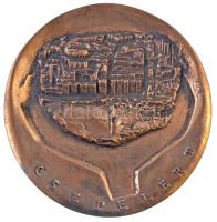 DN "Csepelért" Br plakett eredeti tokban (~116mm) T:2