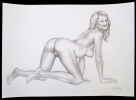 Tóth György: Akt négykézláb. Ceruza, papír, jelzett, 29,5x42 cm