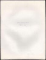 Csókás Péter: Vintage fotóművészeti alkotás. pecséttel jelezve 18x25 cm