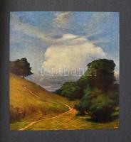 Modern festők. 1-12. füz. Bp., 1904, Aufrecht és Goldschmied.  Gazdagon díszített, kicsit sérült map...