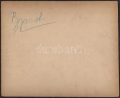 cca 1900 Budapest, A budavári palota és a dunai házsor a Lánchíd mellett. Nagyméretű  keményhátú fot...