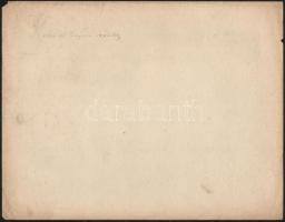 cca 1900 Budapest, V. A Kossuth Lajos utca Nagyméretű keményhátú fotó. Erdélyi Mór (1866-1934) fotój...