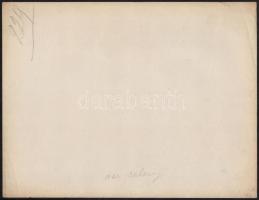 cca 1900 Budapest, I. Vársétány. Tóth Árpád sétány.  Nagyméretű fotó. Erdélyi Mór (1866-1934) fotója...