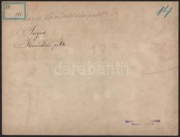 cca 1890 Szeged, Közművelődési Palota. Nagyméretű keményhátú fotó. Erdélyi Mór (1866-1934) fotója 29...