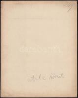 cca 1900 Budapest I. Attila körút. Tabáni házakkal, villamossal, háttérben a Darabont testőrségi lak...