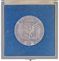 Kiss Nagy András (1930-1997) 1978. "20. Szegedi Szabadtéri Játékok 1978" ezüstözött Br ére...