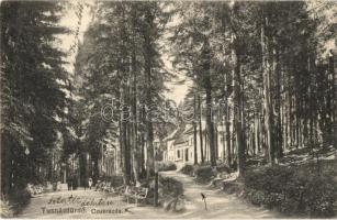 Tusnádfürdő, Baile Tusnad; Cukrászda, Dragomán S. J. Kiadása / confectionery shop