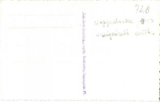 1940 Nagyszalonta, Salonta; Országzászló avatás, Városházi ajtónálló díszegyenruhában   / Hungarian ...