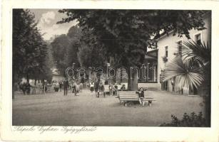 Vihnyefürdő, Kúpele Vyhnye; gyógyfürdő / spa (EK)